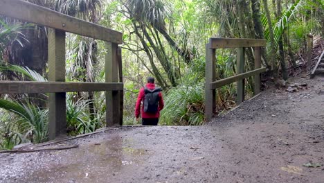 Mann-Im-Freien-Mit-Rucksack,-Roter-Wasserdichter-Mantel,-Der-In-Einem-Wald-Auf-Brautschleier-Von-Der-Kamera-Weggeht,-Fällt-In-Neuseeland,-Aotearoa