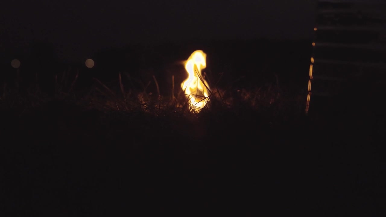 flame at the night in the grass