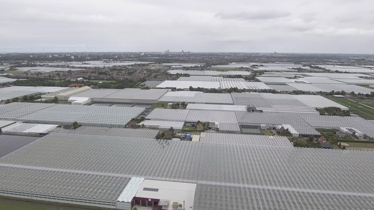 4K Aerial Drone Shot of Glass Greenhouses in The Netherlands