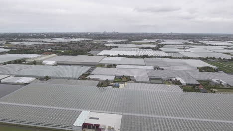 4k aerial drone shot of glass greenhouses in the netherlands