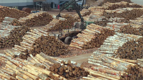 tractor loading birch tree logs by plywood factory