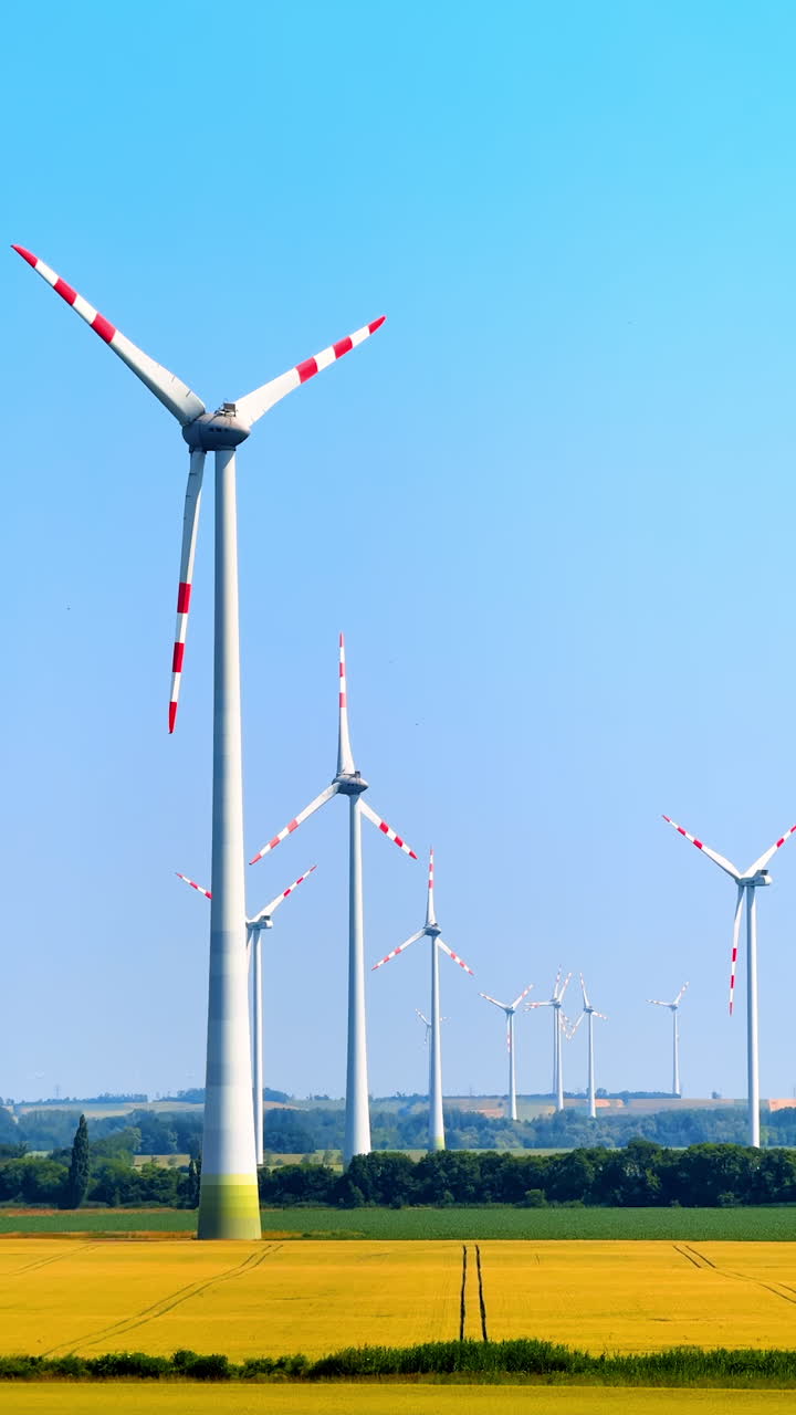 Turbines in fields make clean energy. Red-striped wind turbines rise over bright yellow fields beneath a clear blue sky, championing renewable energy