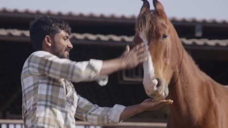 a slow-motion of south asian man feeding a horse from his hand on a sunny day with rural building behind them