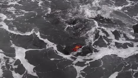 Red-Crab-in-Galapgos-on-stone-with-waves-crashing-staying-resistent