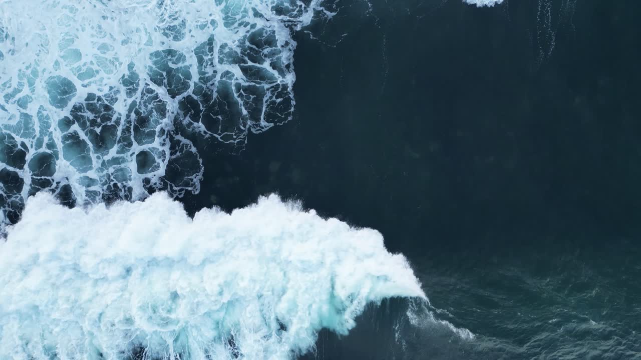 Done shot straight down with Sea Lions playing and jumping when big wave comes over them and pelican flys by during King Tide in La Jolla, California