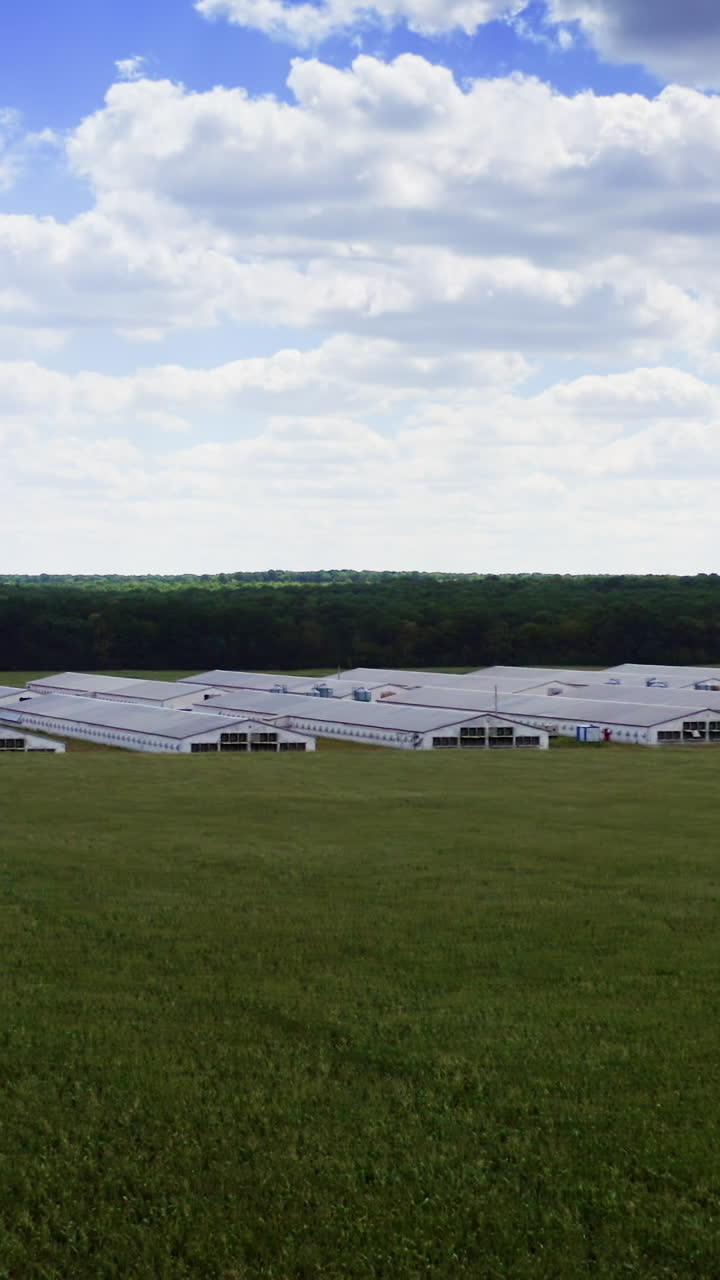 Modern farm among agricultural fields. White farm buildings on beautiful nature background. Agricultural complex on rural landscape. Motion camera to the left. Vertical video