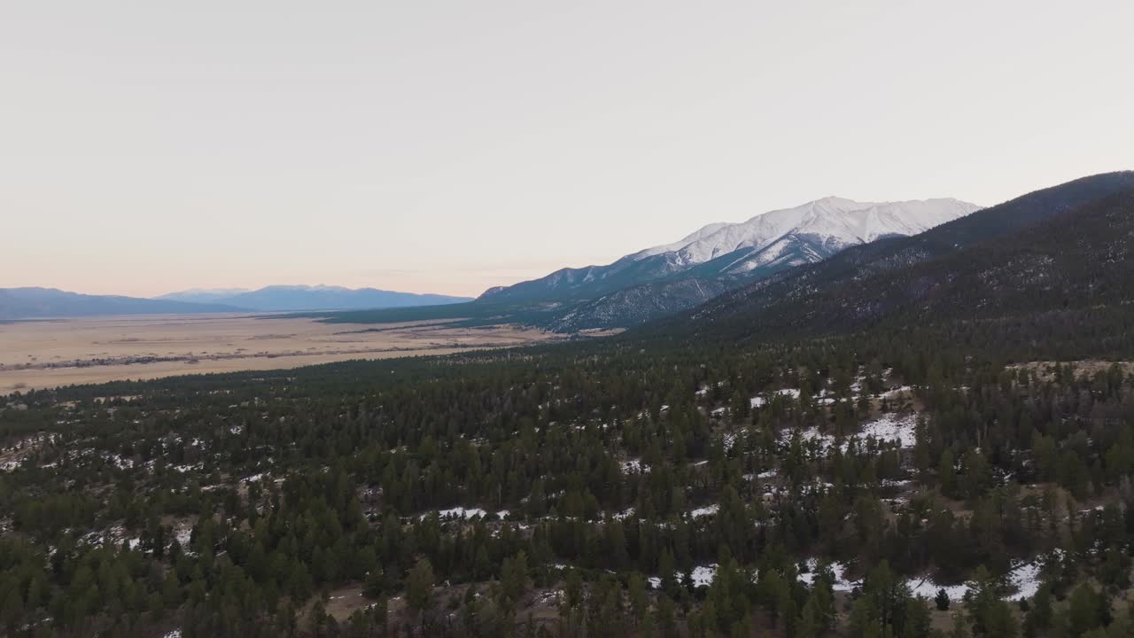 Drone che sorvola alberi di pino avvicinandosi al Monte Princeton nelle Montagne Rocciose in Colorado.
