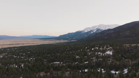 Drohne-über-Kiefern,-Die-Sich-Dem-Mount-Princeton-In-Den-Rocky-Mountains-In-Colorado-Nähern