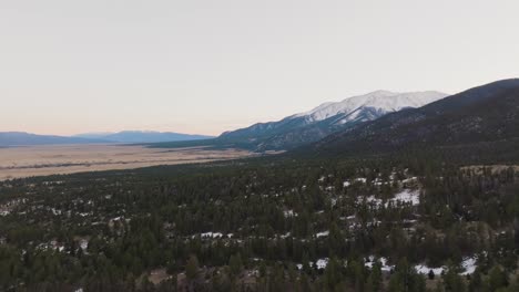 drone over pine trees approaching mount princeton in the rocky mountains in colorado