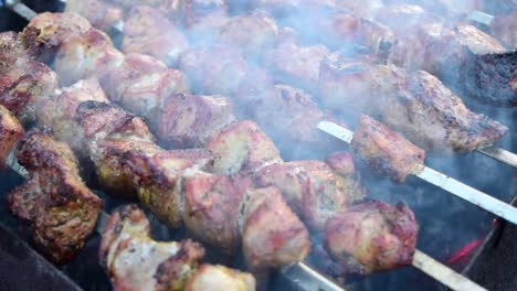 haciendo shish kebab en el jardín