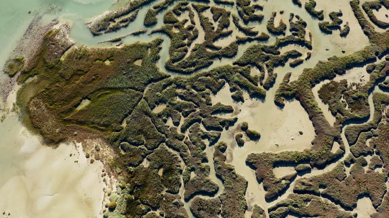 Natural reserve with biodiversity in Ile-de-R&eacute;, France