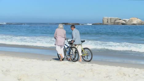 pareja de edad caminando con bicicletas