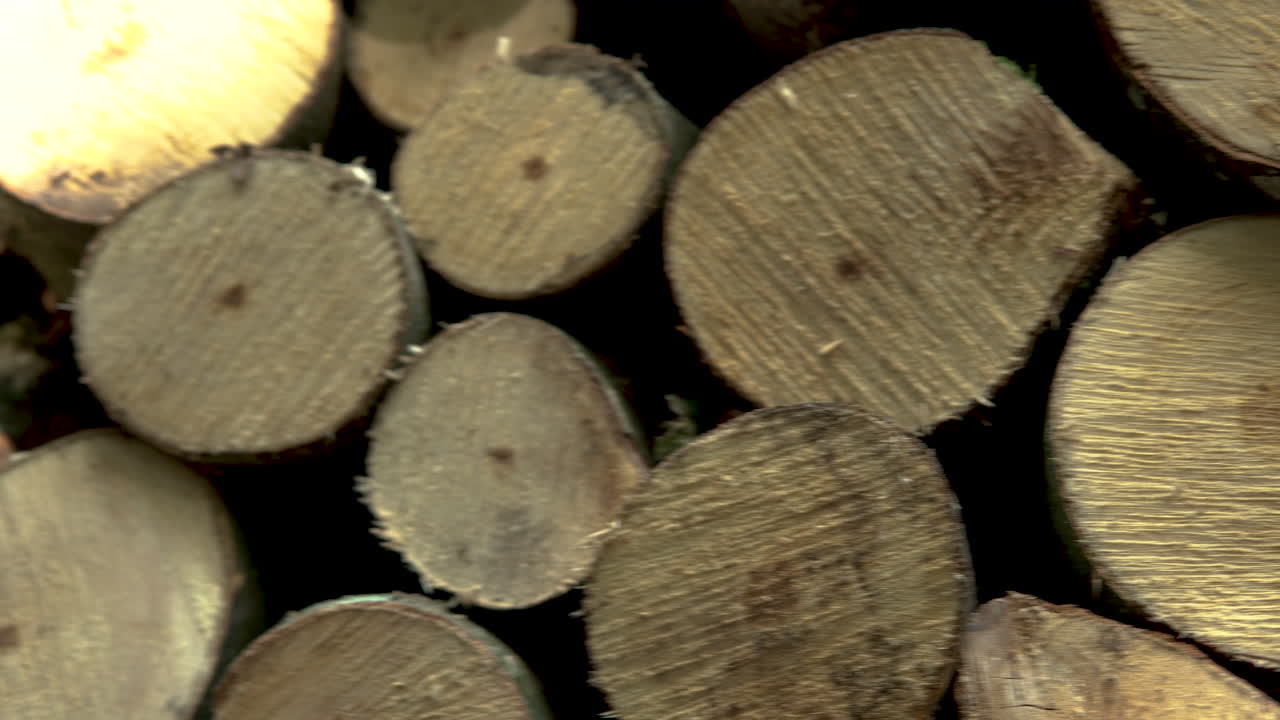 Cut Tree Logs For Fuel Piled In The Forest Of Koleczkowo, Poland - close up, fast panning shot