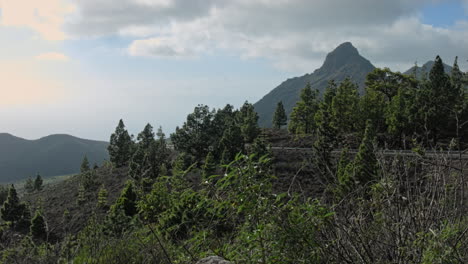 Resumen-De-La-Carretera-De-Montaña-De-Tenerife-Con-Muchos-árboles-Y-Nubes