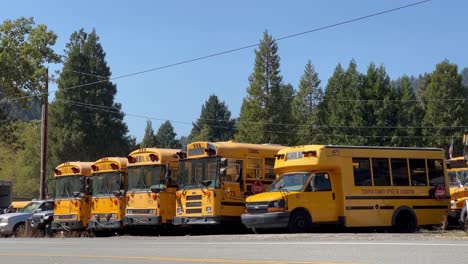 large school buses in a row in wolf creek, oregon, usa