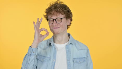 redhead young man with ok sign, yellow background