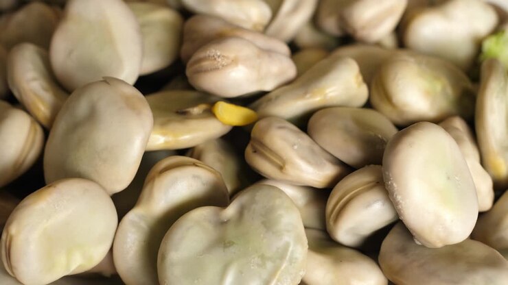 cooked broad beans rotating turning round