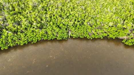 Aerial-view-of-Ponce-De-Leon-Park-in-Punta-Gorda-Florida