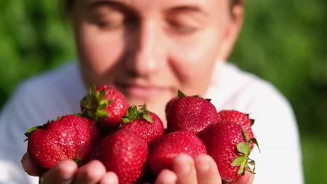 the girl enjoys the smell of ripe strawberries young girl enjoying ripe strawberry aroma