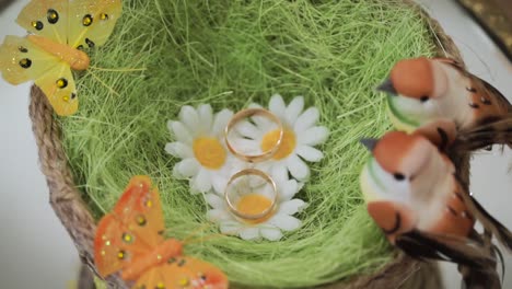 anillos de bodas en una decoración de nido