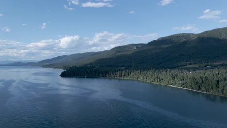 stunning landscape of flathead lake with the evergreen forest by the mountains in montana, usa under the bright blue sky