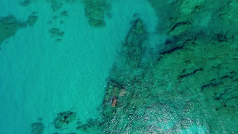 spectacular scenic view directly above samana wreck dive site in turquoise transparent ocean sea water by tropical island of barco hundido las galeras, dominican republic, overhead rising aerial