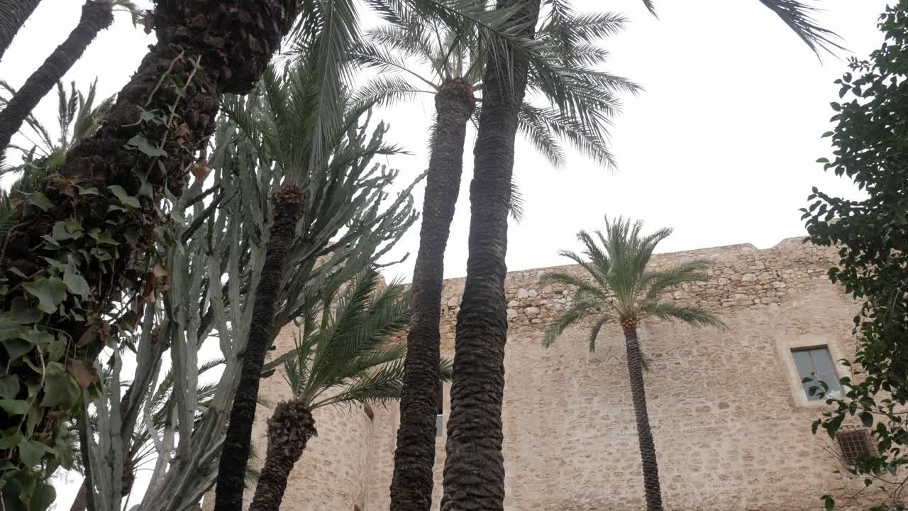 Palacio de Altamira in a lush park with towering palm trees, tranquil setting