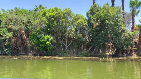 Río-Nilo-Cerca-De-El-Cairo-En-Egipto-Durante-El-Día-Con-Fauna-Y-Vegetación-En-El-Norte-De-África.