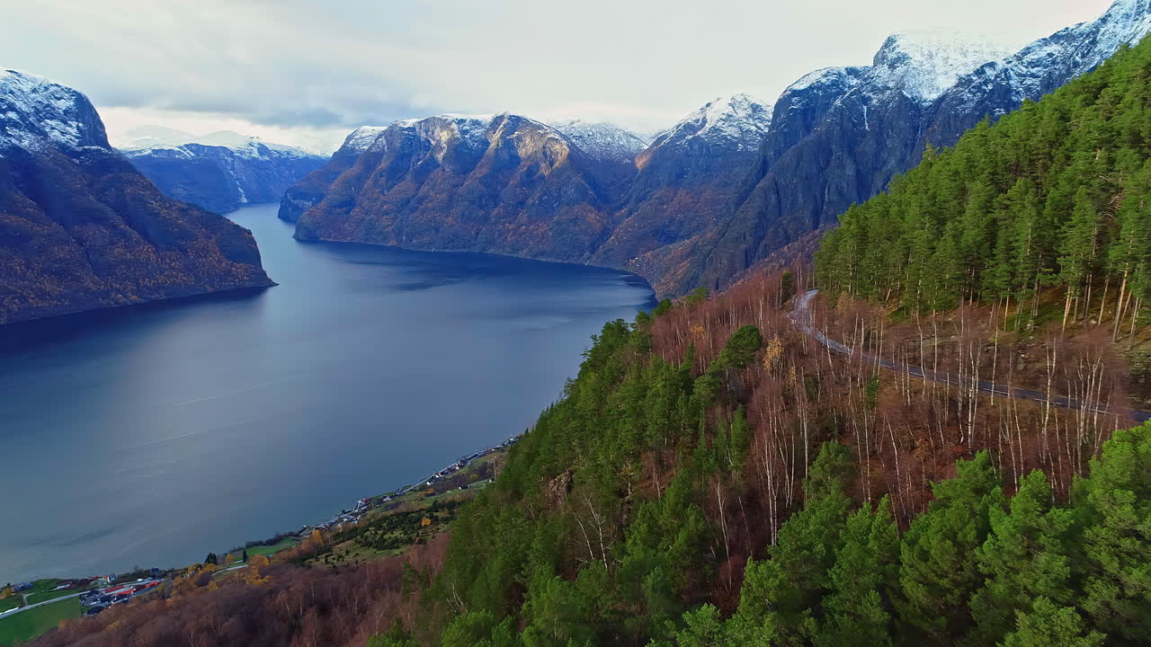 Flyr over trærne i skogen med fjell- og innsjøutsikt