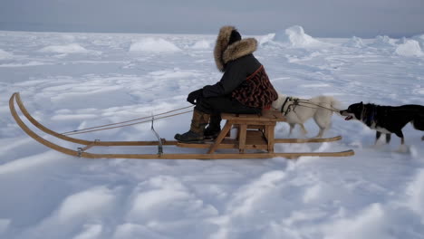 dog sledding through an icy arctic landscape