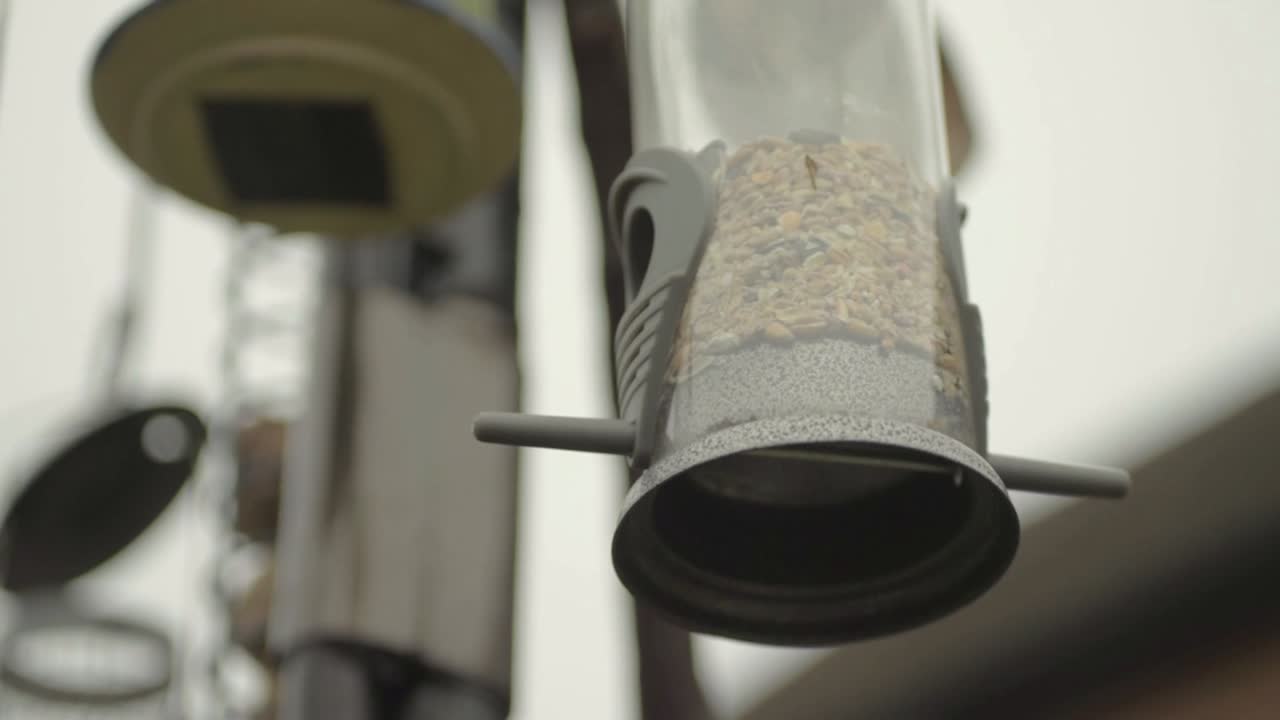 새 모이통은 정원의 새 테이블에 매달려 있습니다.