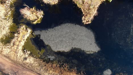 Frozen-Pond-In-A-Park-With-Cracks-On-A-Sunny-Winter-Day