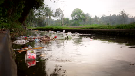 floating debris on polluted waterway in bali countryside, low angle