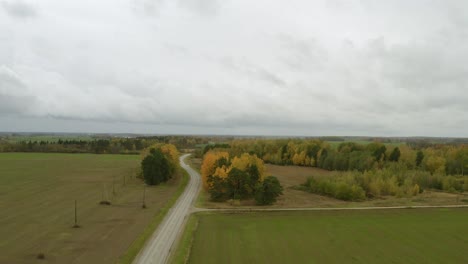 bird eye view of golden autumn in latvia with nature scenic of clear white sky - aerial shot