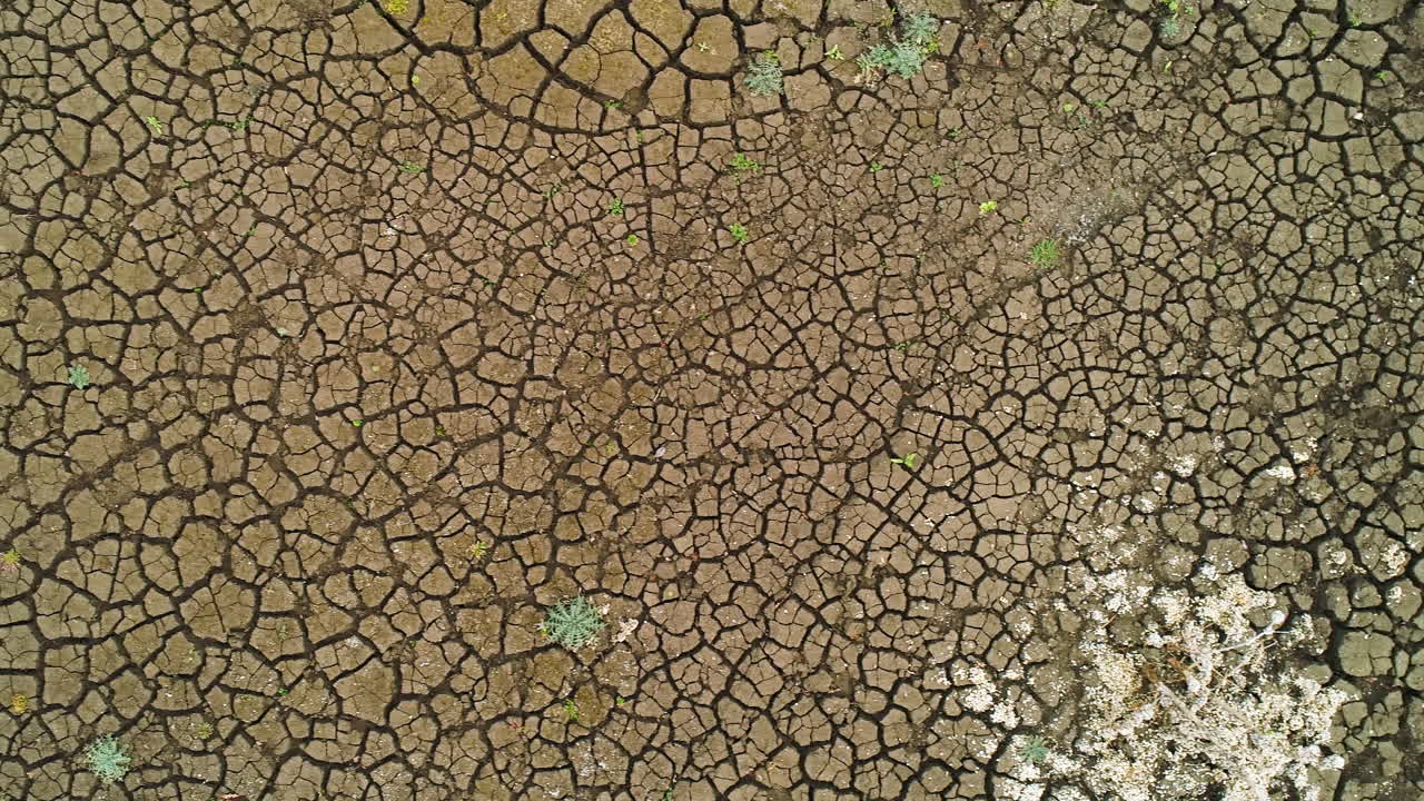 Dried Cracked Earth with Sparse Vegetation