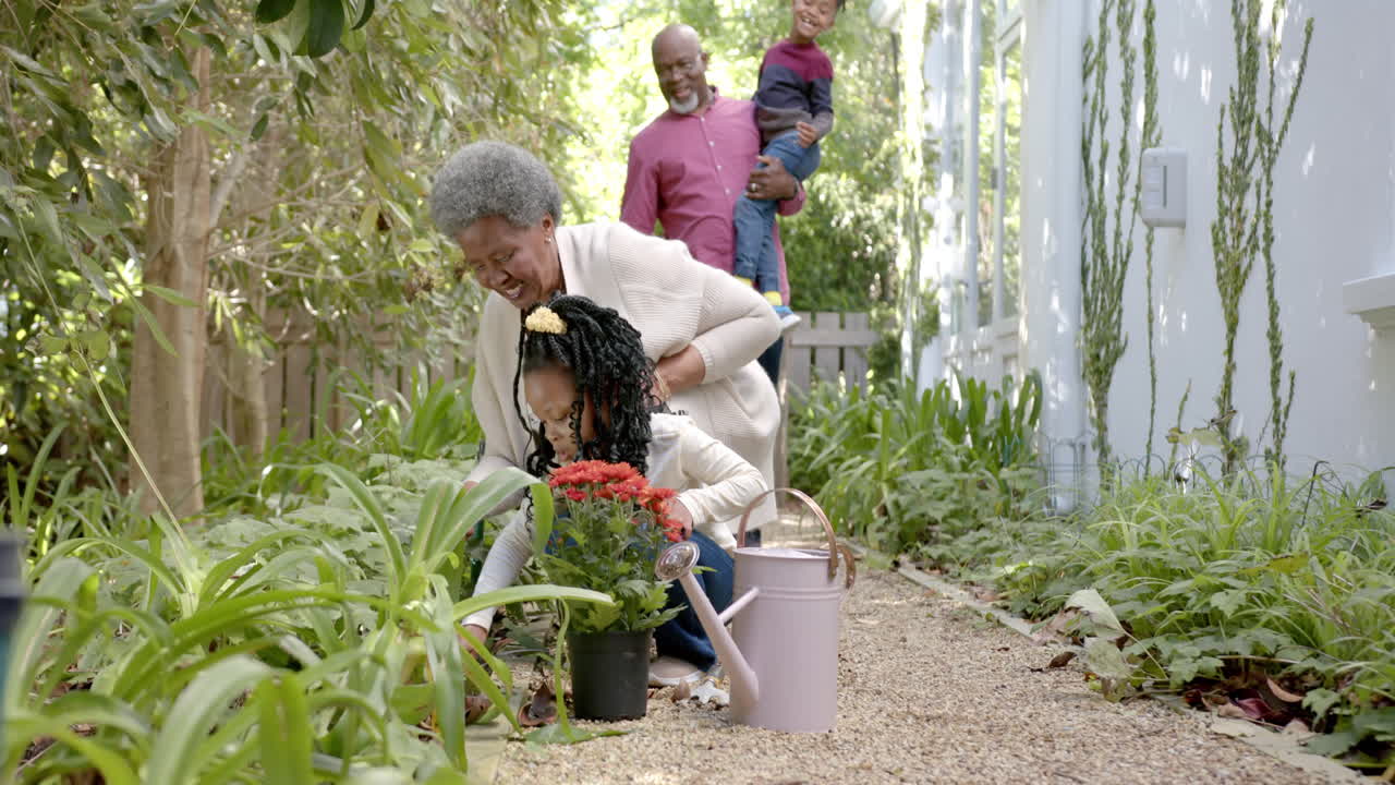 행복한 아프리카계 미국인 할아버지, 할머니와 손자, 니 가든, 코피 스페이스, 슬로모션