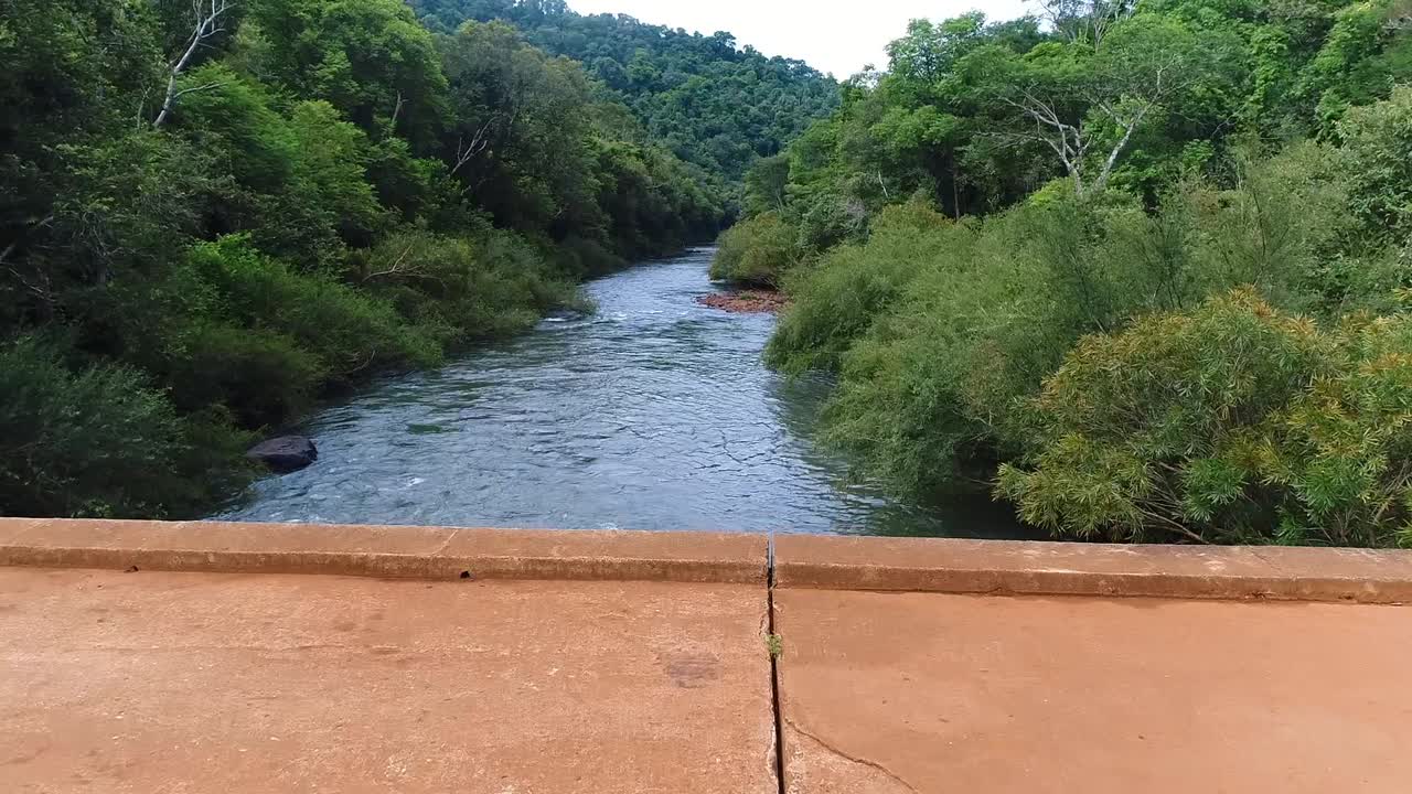 un puente rústico que cruza un río en el corazón de la selva pura