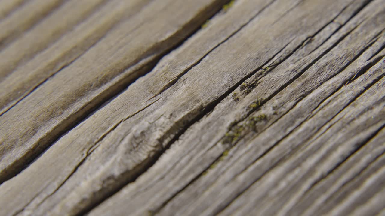 Close-up of wood grain texture with fine details and natural tone variations. Great for design backgrounds, art visuals, or raw materials