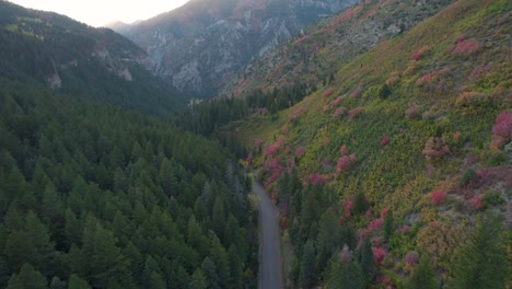 Schöne-Gebirgstalstraße-In-Der-Amerikanischen-Gabelschlucht,-Utah---Antenne