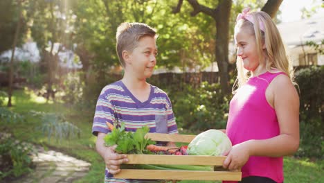 feliz hermano y hermana caucásicos de pie en el jardín sosteniendo una caja de verduras y sonriendo
