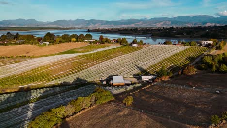 aerial view of a family winery and vineyard in the nelson and tasman region