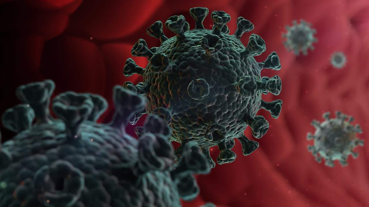coronavirus en el cuerpo humano en primer plano. video en bucle de alta calidad.