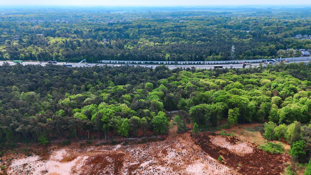 Spring forest by highway. Lush green trees surround a busy highway, showcasing nature and infrastructure in springtime tranquility