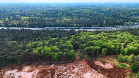 spring forest by highway. lush green trees surround a busy highway, showcasing nature and infrastructure in springtime tranquility