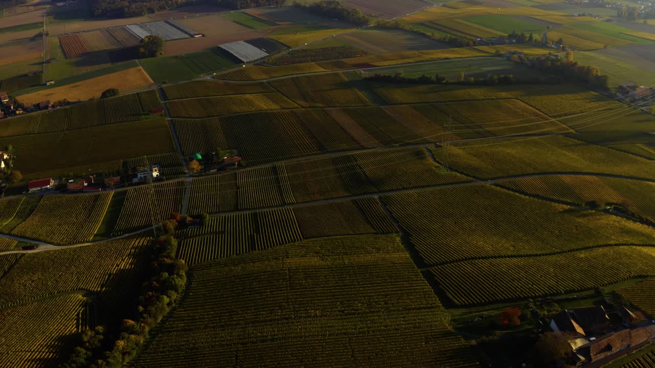 vista aérea de los viñedos de la cote con la ciudad de gland y el lago leman en vaud, suiza - tiro con drones