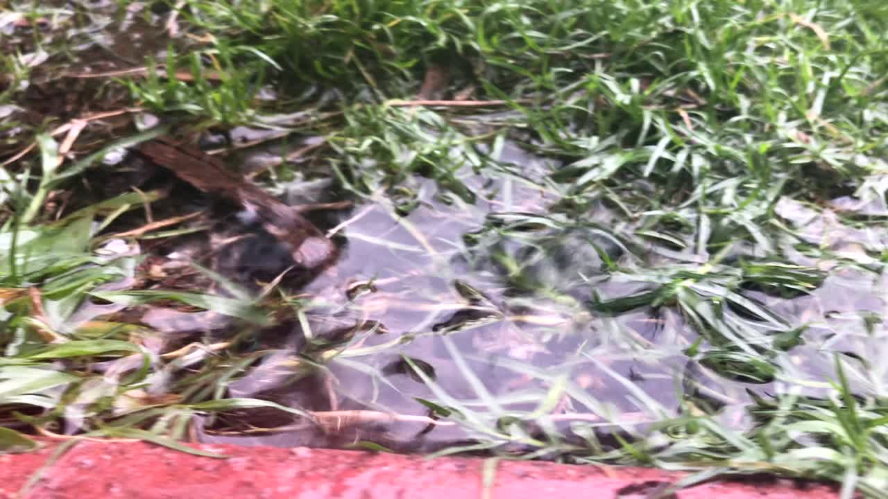 방울이 떨어지는 물결