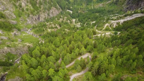 natural trail in the swiss alps