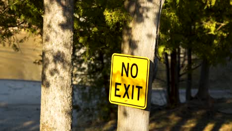 no exit sign at a beach, nature landscape in background