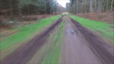 a drone flying around just one of the thousands of forests of the united kingdom