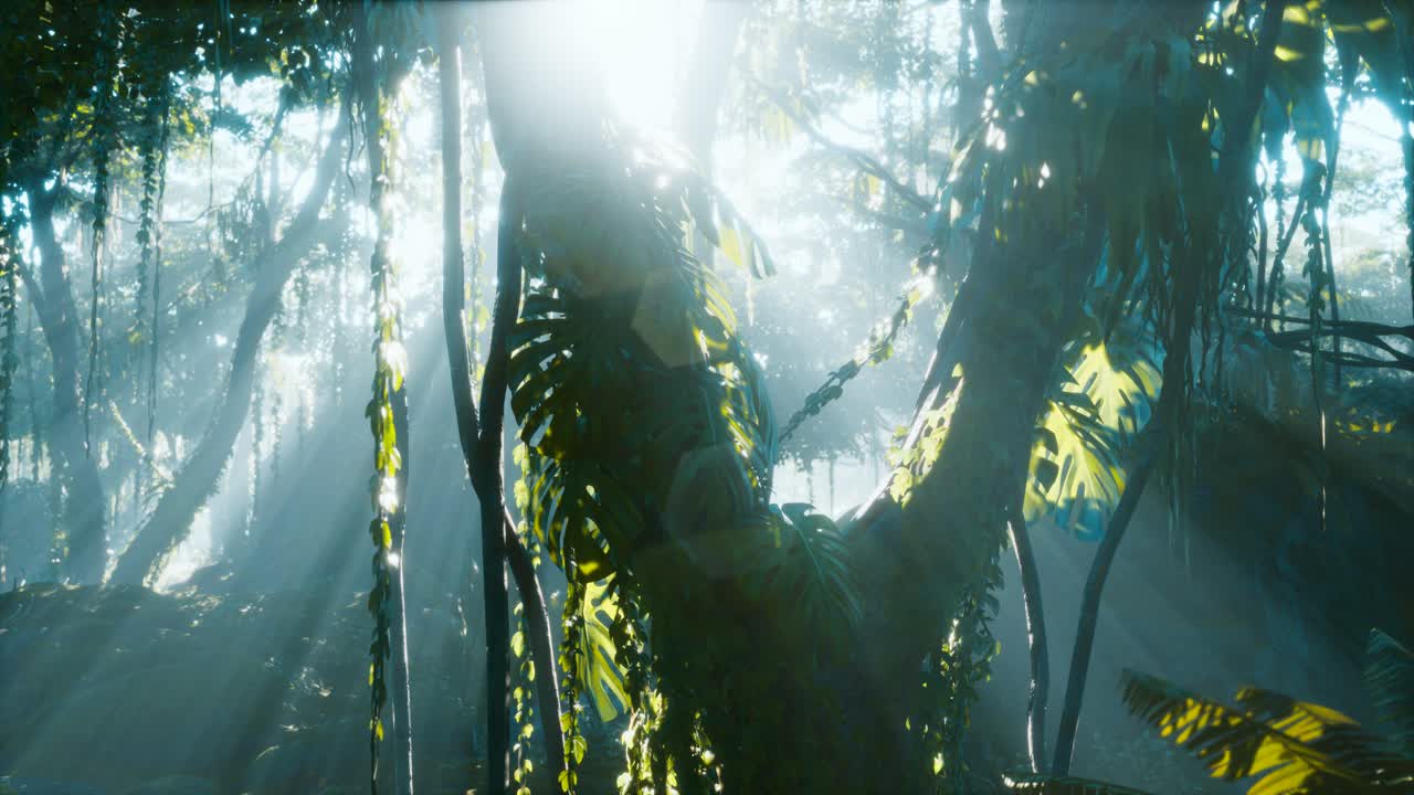 안개 속 깊은 열대 정글 열대 우림